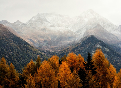 Featured News Image